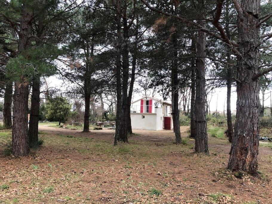 Le Cabanon De Vally Caromb Exterior foto
